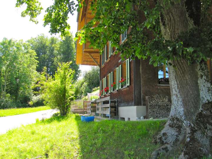 04 : Centre de collecte de bois Kaltacker 